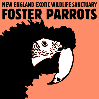 Foster Parrots Ltd.