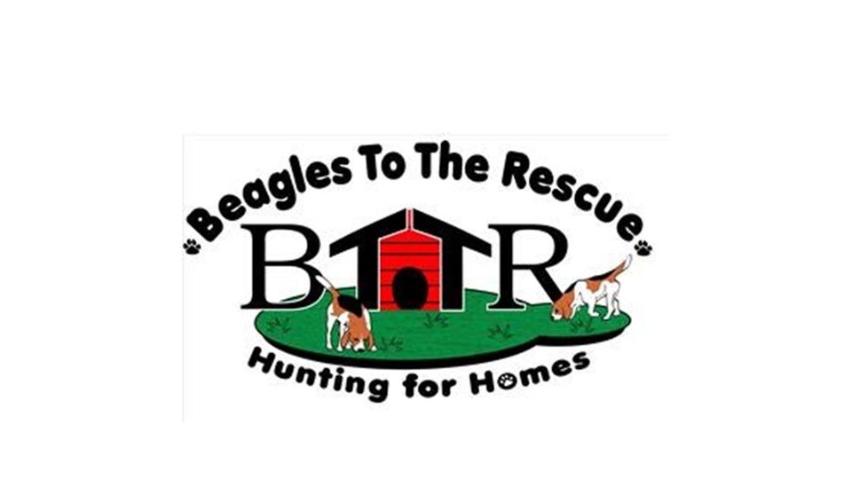 Beagles To The Rescue