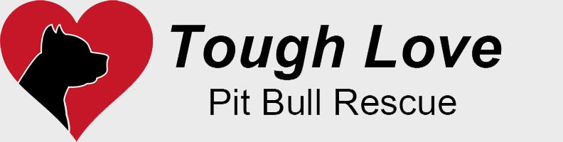 Tough Love Pit Bull Rescue - Seattle Chapter