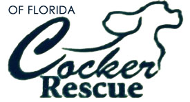 Cocker Rescue Of Florida