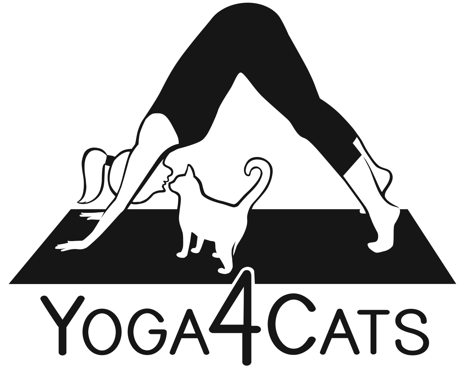 Yoga4Cats