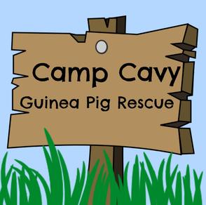 Camp Cavy Guinea Pig Rescue