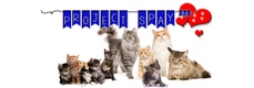 Project Spay, Inc.