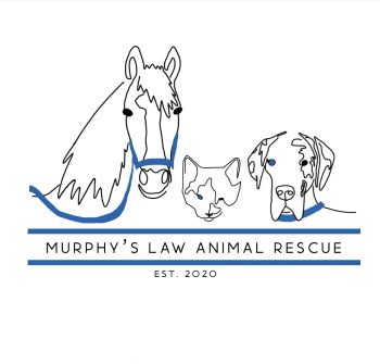 Murphy's Law Animal Rescue
