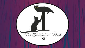 The Scratchin' Post