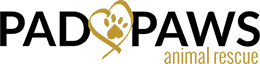 Pad Paws Animal Rescue