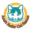 Junes Senior Cat Rescue