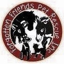 Forgotten Friends Pet Rescue, Inc.