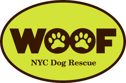 Woof Dog Rescue Inc.