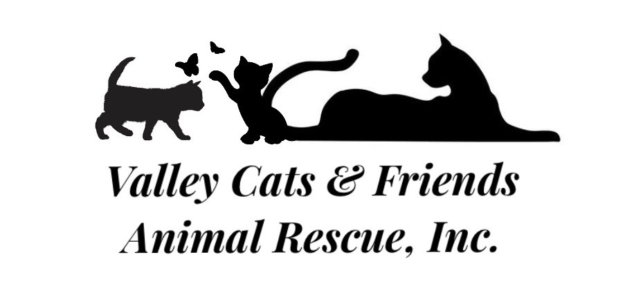 Valley Cats & Friends Animal Rescue, Inc.