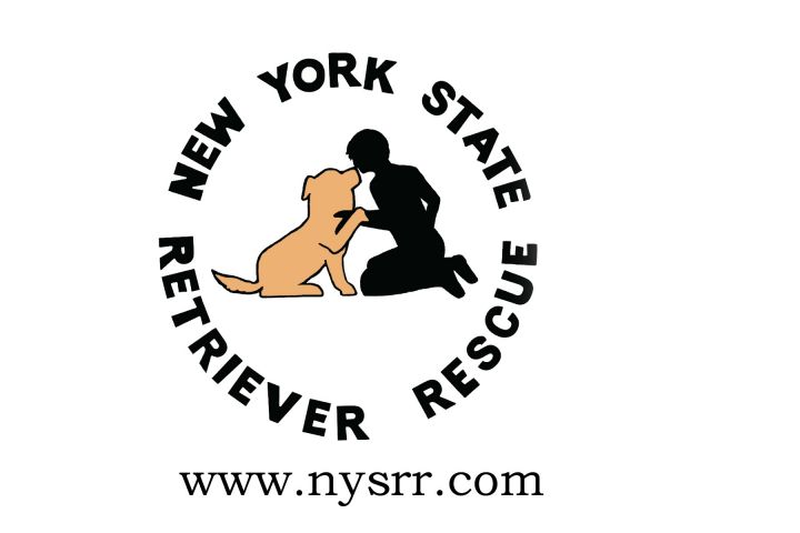 New York State Retriever Rescue, Inc,