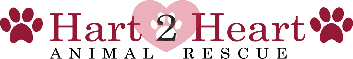 Hart 2 Heart Animal Rescue