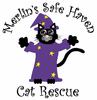 Merlin's Safe Haven Cat Rescue
