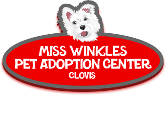 Miss Winkles Pet Adoption Center