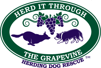 Herd It Through The Grapevine