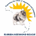Florida Keeshond Rescue