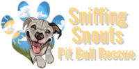 Sniffing Snouts Pit Bull Rescue
