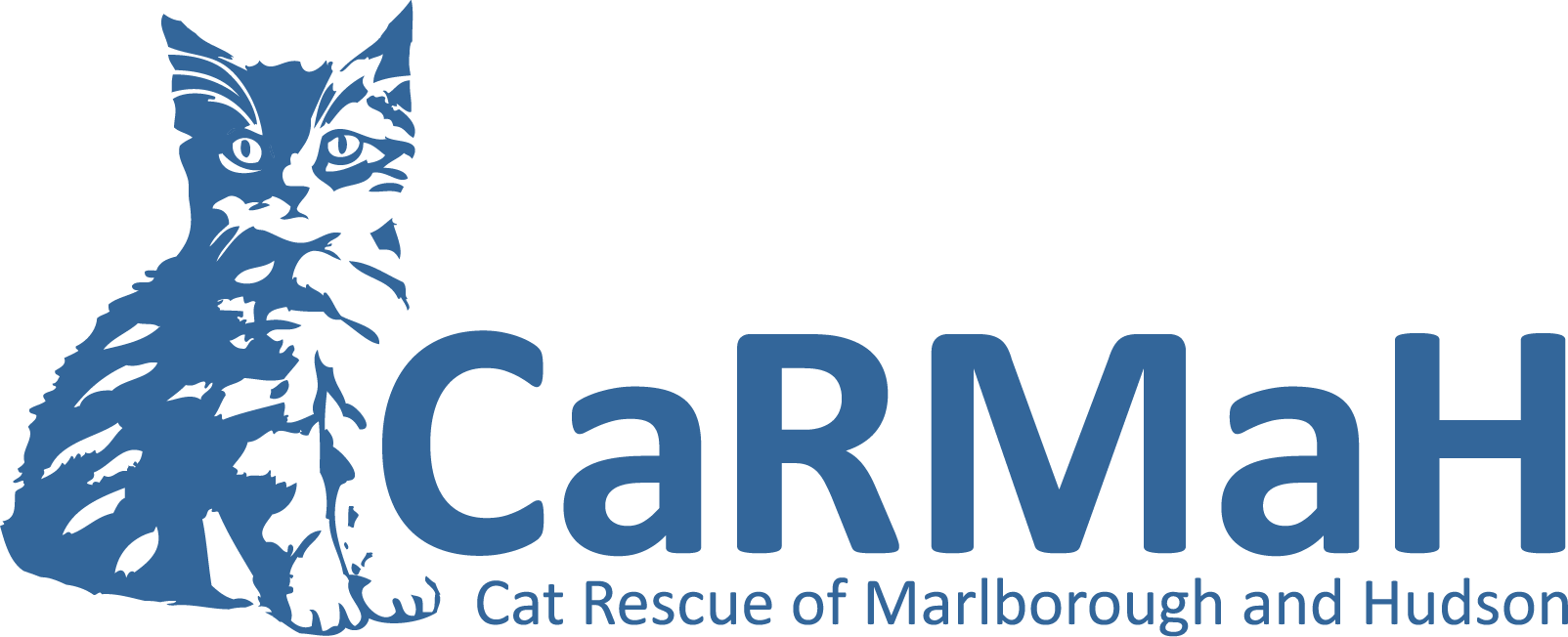 Carmah (cat Rescue Of Marlborough And Hudson)