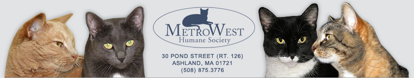Metrowest Humane Society