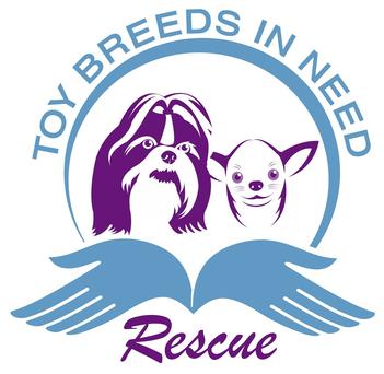 Toy Breeds In Need Rescue