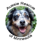 Aussie Rescue Of Minnesota
