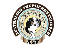 Australian Shepherds Furever - Wilmington, Nc Chapter