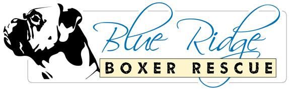 Blue Ridge Boxer Rescue, Inc.