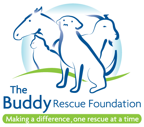 Buddy Rescue Foundation