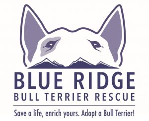 Blue Ridge Bull Terrier Club, Inc.