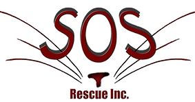 Sos Rescue Inc.