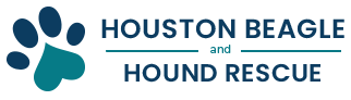 Houston Beagle And Hound Rescue, Inc.