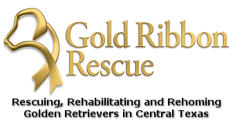 Gold Ribbon Rescue