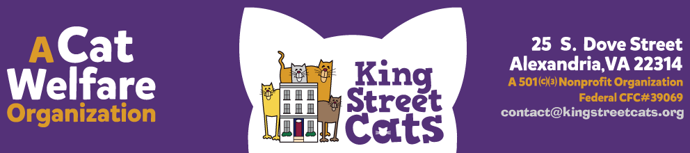 King Street Cats