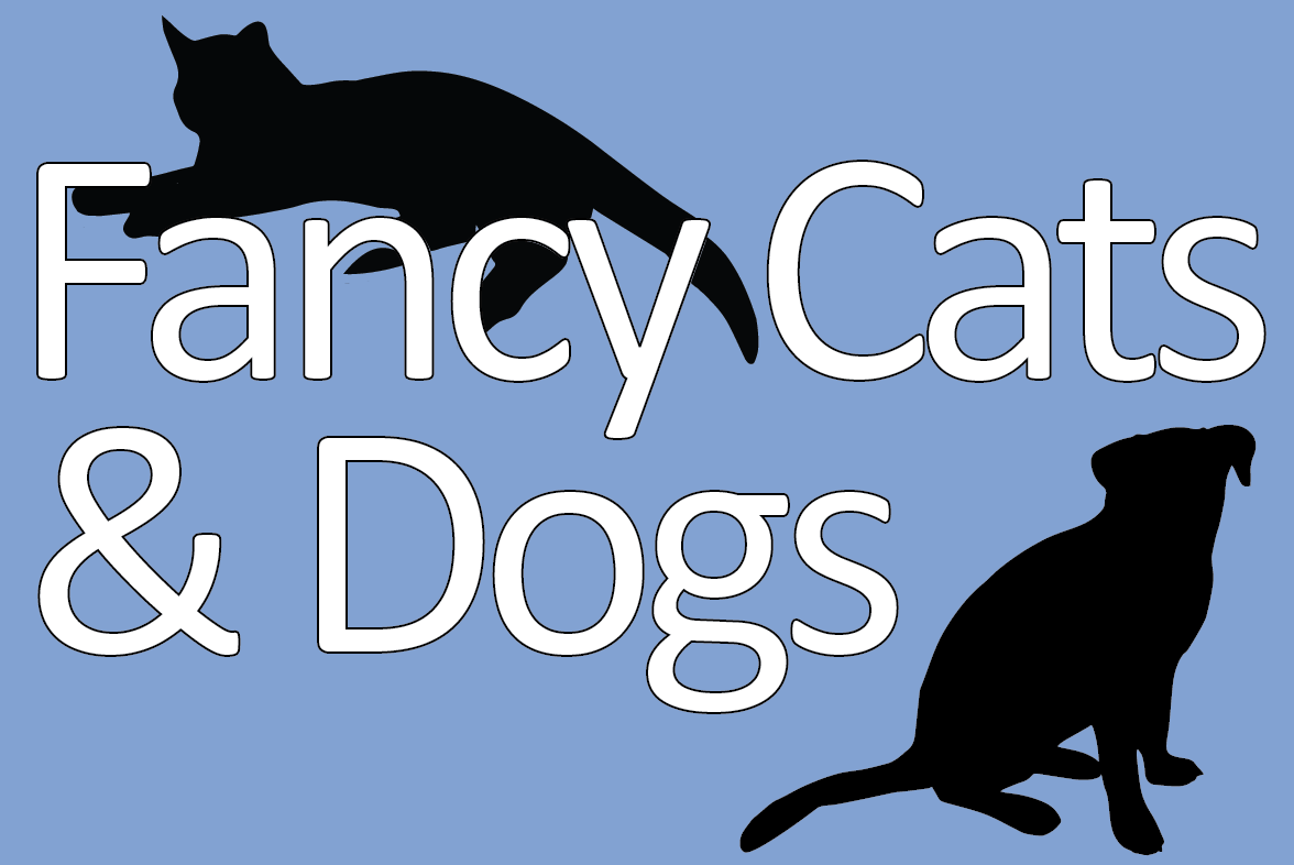 Fancy Cats Rescue Team, Inc.