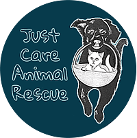 Justcare Animal Rescue