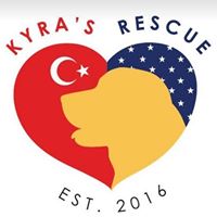 Kyra's Rescue