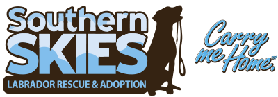 Southern Skies Labrador Rescue & Adoption