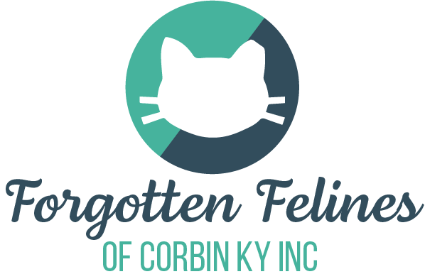 Forgotten Felines Of Corbin Ky