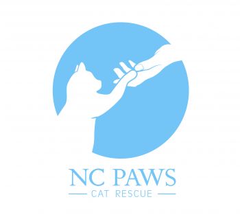 Nc Paws Cat Rescue