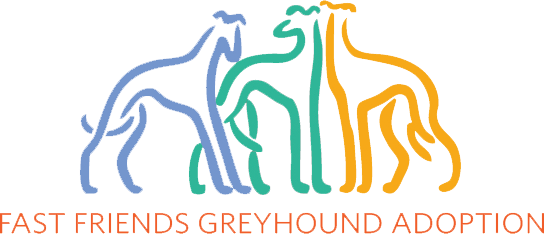 Fast Friends Greyhound Adoption Center