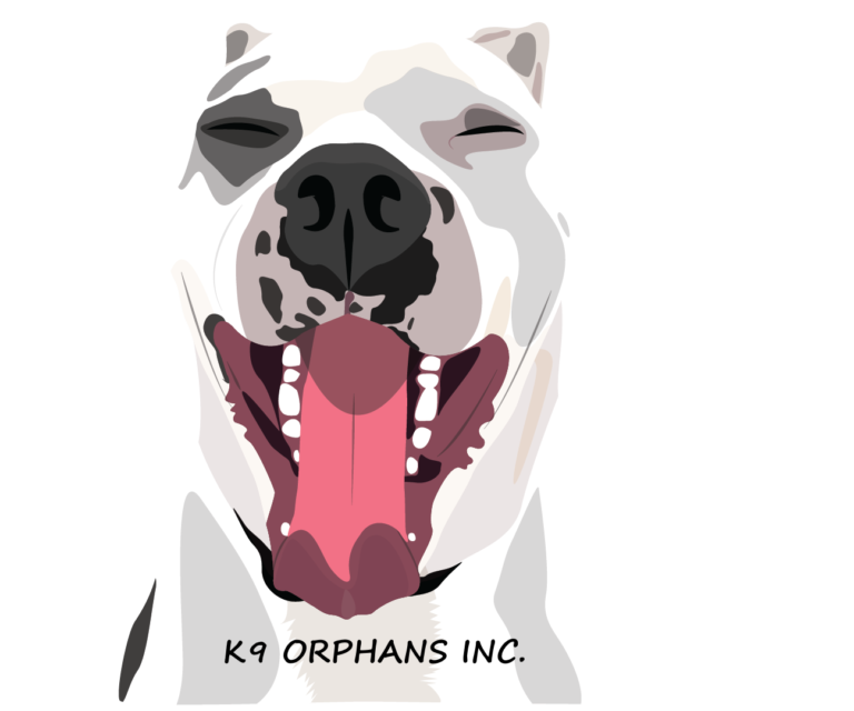K9 Orphans, Inc.