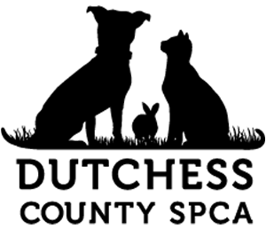 Dutchess County Spca