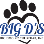 Big D's Big Dog Rehab, Inc.