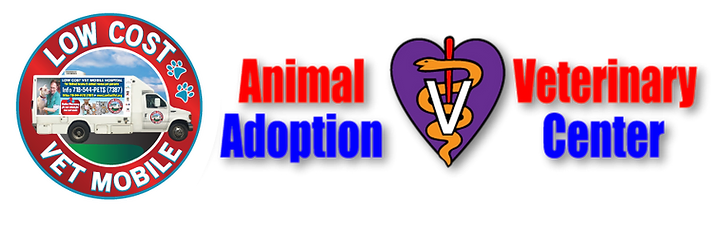 Animal Adoption Veterinary Center
