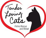 Tender Loving Cats, Inc