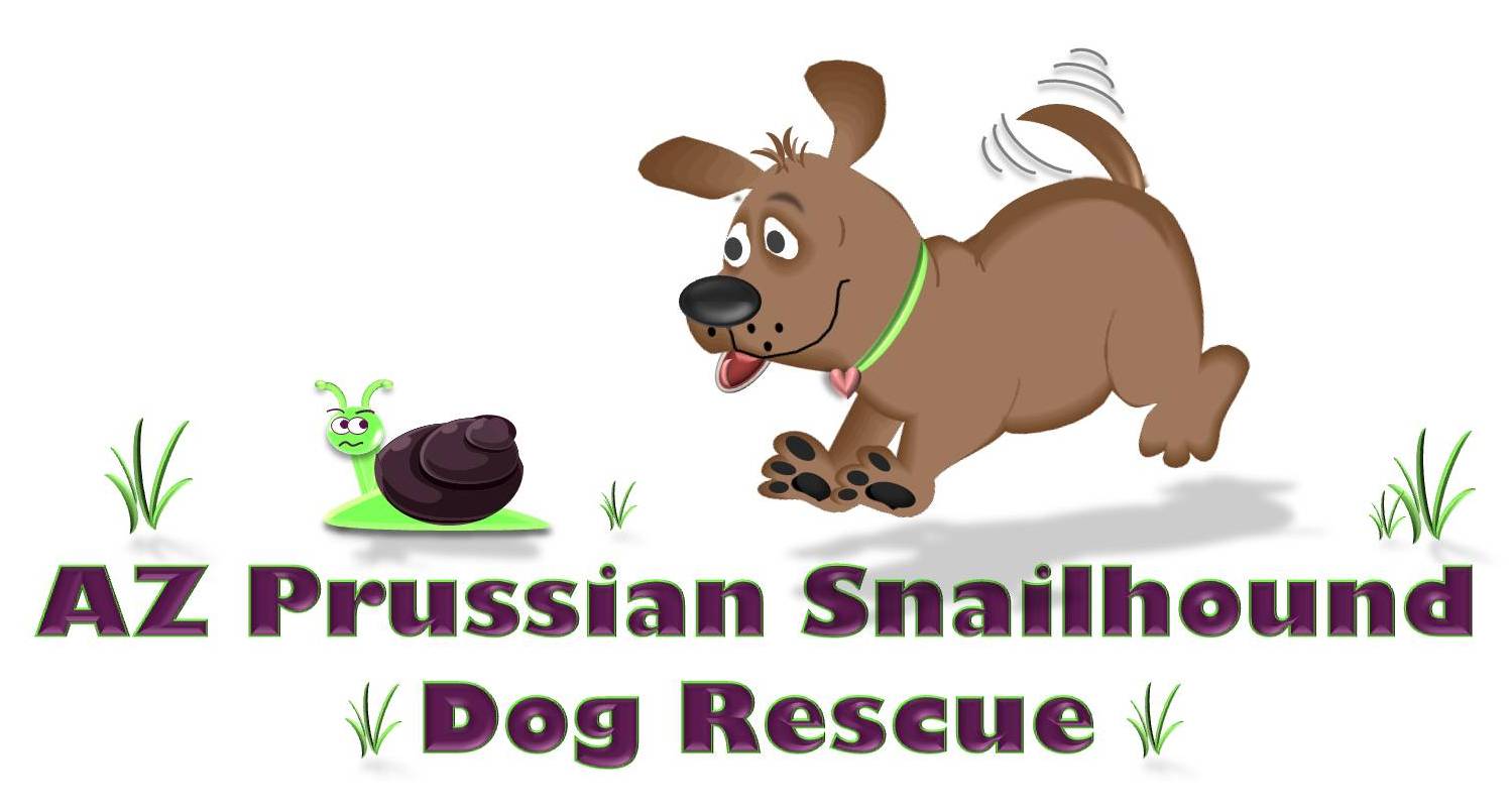 Az Prussian Snailhound Dog Rescue