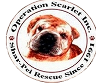 Operation Scarlet Inc.