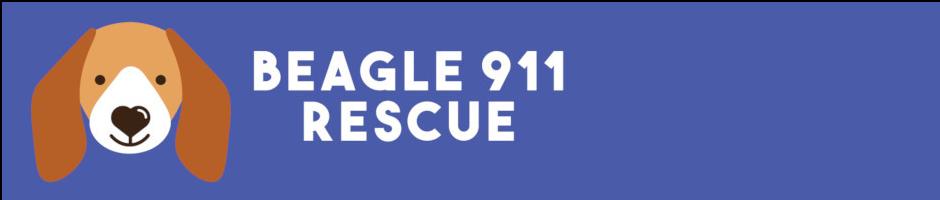 Beagle911 Rescue