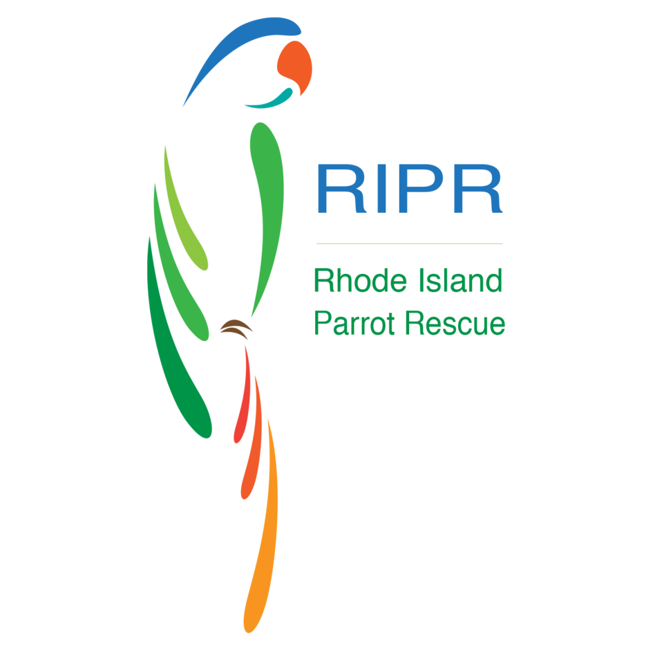 Rhode Island Parrot Rescue
