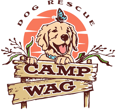 Camp Wag, Inc.